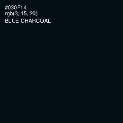 #030F14 - Blue Charcoal Color Image